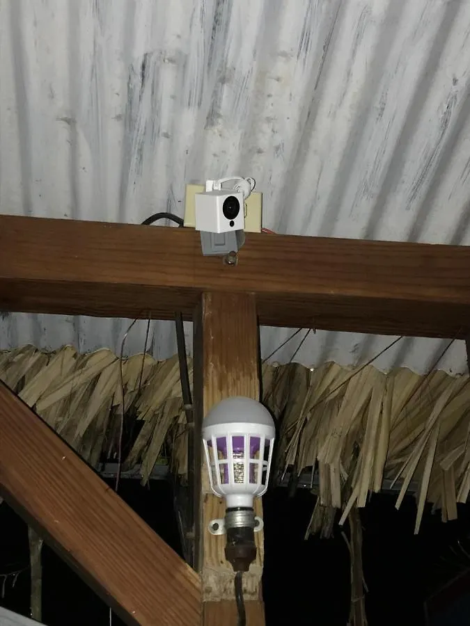 Hostal Albergo El Pulpo, Bayahíbe
